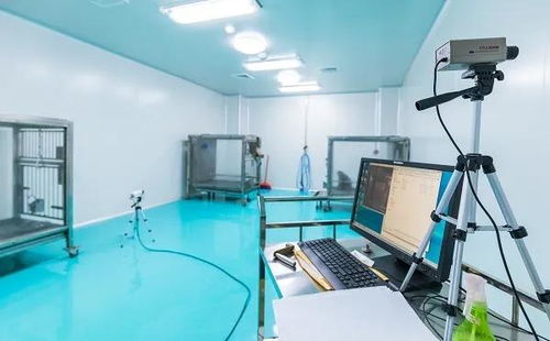 科研試金石與生物制劑研發(fā)的幕后功臣 實(shí)驗(yàn)動(dòng)物的神奇使命